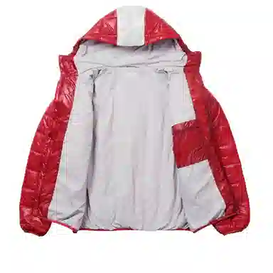 PALACE FW25 DROP2 PERTEX NET PLUS MICROLITE JACKET logo