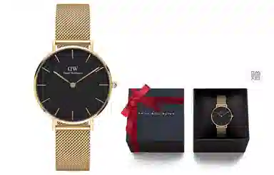 Daniel Wellington PETITEDanielWellington 32mm DW00100347