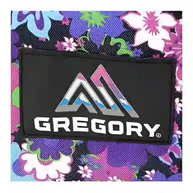 GREGORY Gregory Fine Day V2 18L