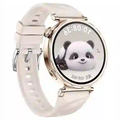 STEWPIGO Watch GT6GT5