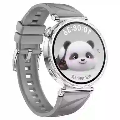 STEWPIGO Watch GT6GT5