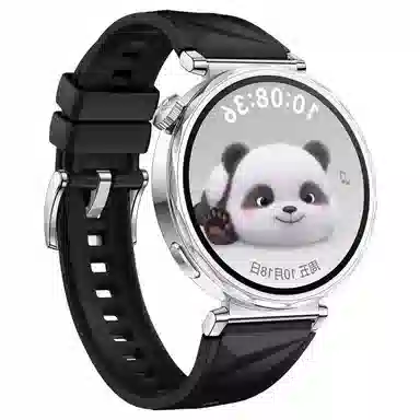 STEWPIGO Watch GT6GT5