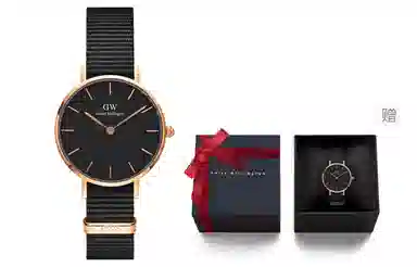 Daniel Wellington DanielWellington PETITE DW00100319