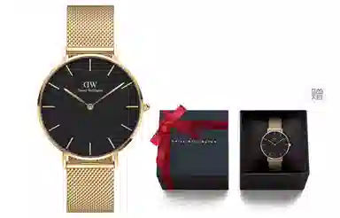 DWDanielWellington PETITE dw DW00100345