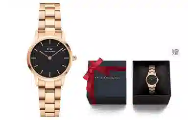 Daniel WellingtonDanielWellington 30m DW00100214