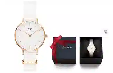 Daniel Wellington DanielWellington PETITE DW00100319