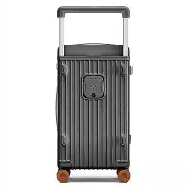 PAUL FRANK Large Capacity PC Trolley Case