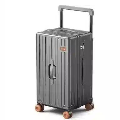 PAUL FRANK Large Capacity PC Trolley Case