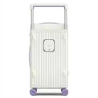 PAUL FRANK Large Capacity PC Trolley Case