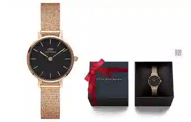 Daniel Wellington DanielWellington PETITE 24mm DW00100440