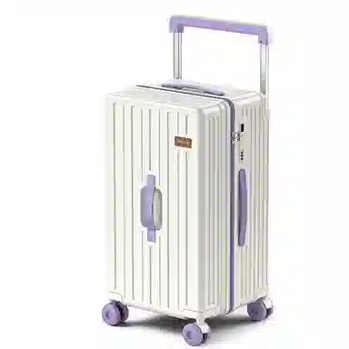 PAUL FRANK Large Capacity PC Trolley Case