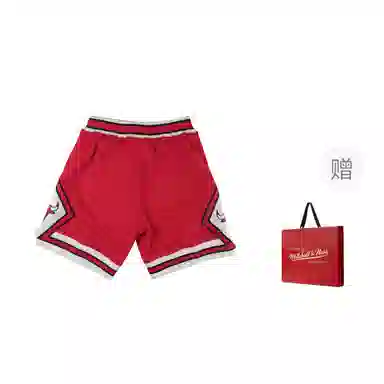 Mitchellness NBAlogo AU 97-98