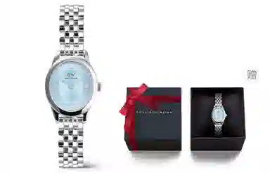 Daniel Wellington DW DW OPHELIA 25.5x22mm