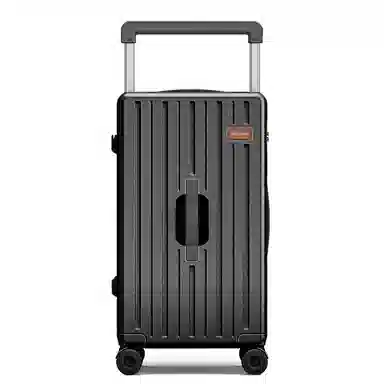 PAUL FRANK Large Capacity PC Trolley Case