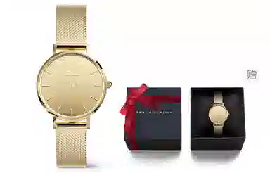 Daniel Wellington PETITE DW