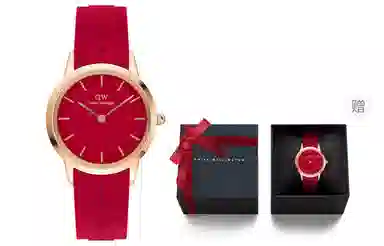 Daniel WellingtonICONIC 32mm 10ATM DW00100503