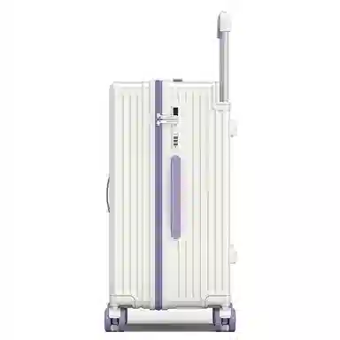 PAUL FRANK Large Capacity PC Trolley Case