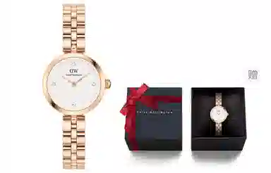 Daniel Wellington Classic Petite