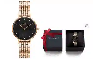 Daniel Wellington DW00100660