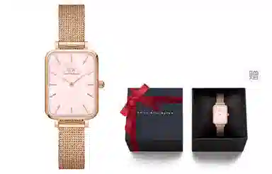 Daniel Wellington QUADRO DW00100510