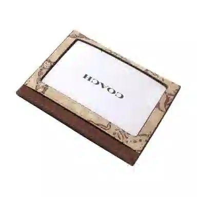 COACH SignatureCanvas 10