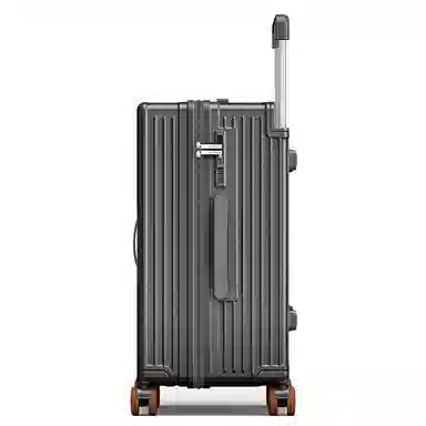 PAUL FRANK Large Capacity PC Trolley Case