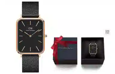 Daniel Wellington QUADRODW 30 DW00100467