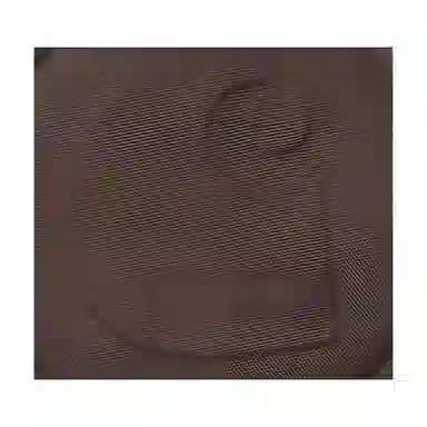 Carhartt WIP ClartonC