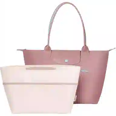 bagINBAG