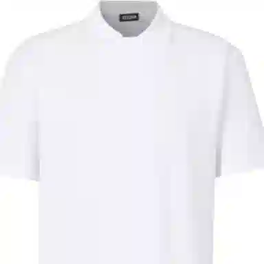 Zegna Polo