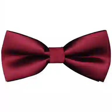 啄木鸟 纯色 结婚领结 婚礼西装衬衣礼服 蝴蝶结 领带 男款