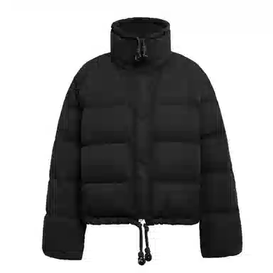 鸭鸭 时尚简约立领短款羽绒服 女款