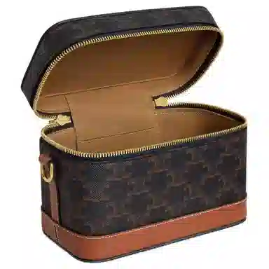 Celine Triomphe Box Bag Brown
