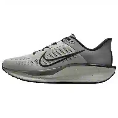 Nike Quest 6 Grey