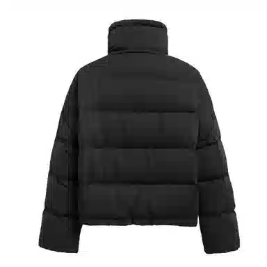 鸭鸭 时尚简约立领短款羽绒服 女款