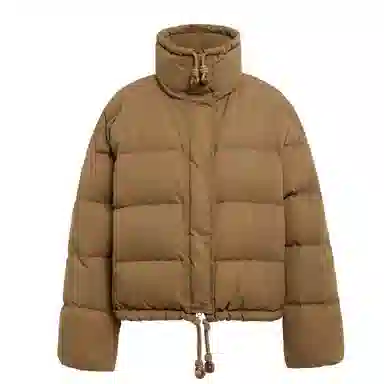 鸭鸭 时尚简约立领短款羽绒服 女款