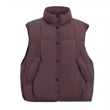 鸭鸭 立领百搭休闲外穿通勤无袖羽绒服 女款