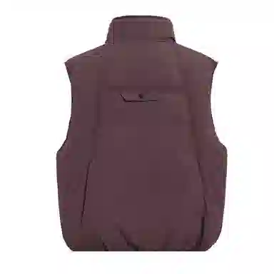 鸭鸭 立领百搭休闲外穿通勤无袖羽绒服 女款