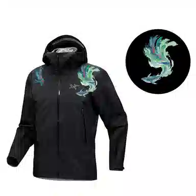 Arcteryx Beta GORE-TEX