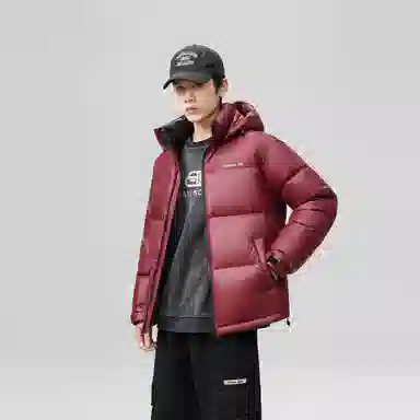 鸭鸭 时尚机能风工装宽松保暖百搭御寒防风连帽羽绒服 男女同款