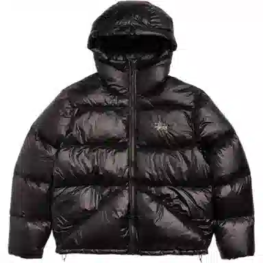 Stussy Micro Ripstop Down Parka