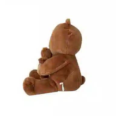 LINE FRIENDS HUG BROWN