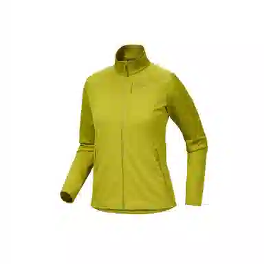 Arcteryx Delta