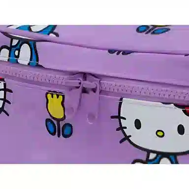 Sanrio x Baggu