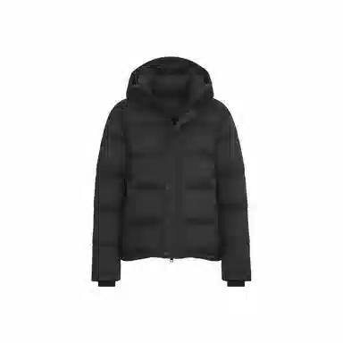 Aritzia Detachable Hood Down Jacket
