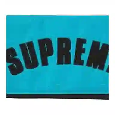 Supreme x The North Face SS19 LOGO