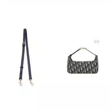 diorTravel Nomad oblique