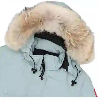 Canada Goose Trillium