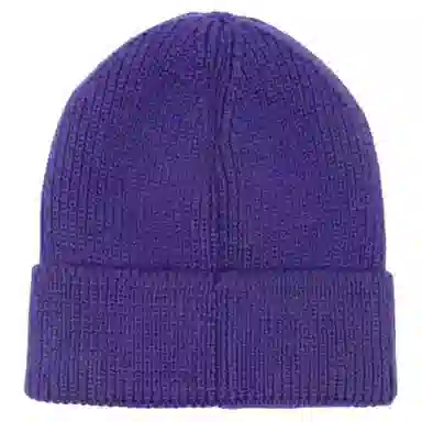 The North Face Logo Beanie Purple