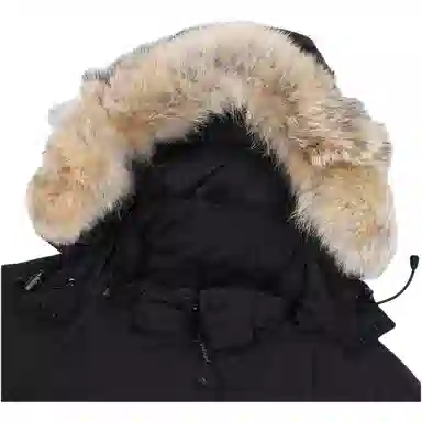 Canada Goose Trillium